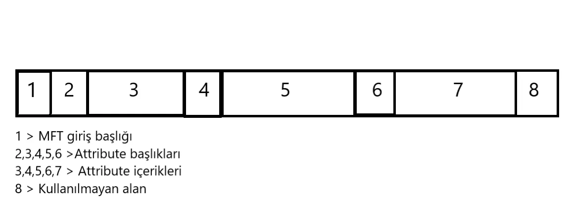 5,